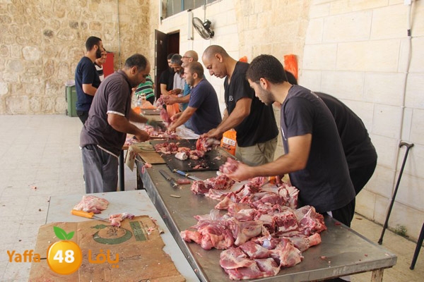 dabe7 ludj31 (22).JPG